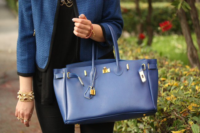 Fashion Blogger Birkin