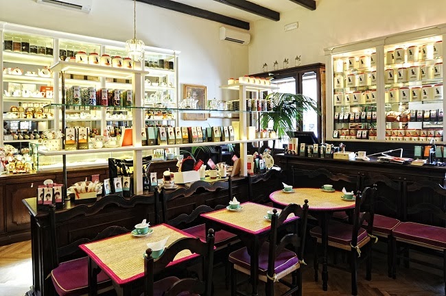 Babington's Roma Babington's Roma