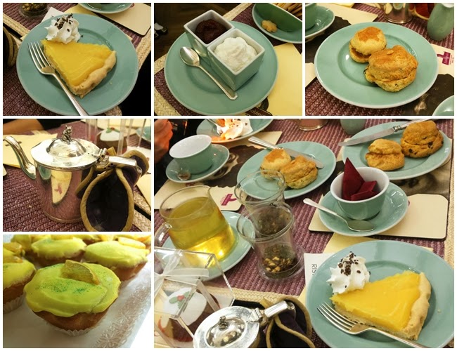 Babington's Roma Babington's Roma