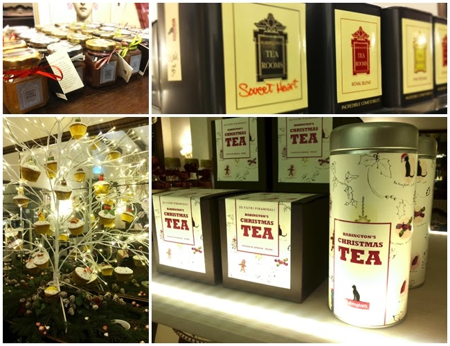 Babington's Roma Babington's Roma