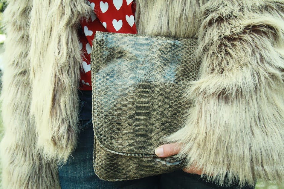 Clutch pitone Clutch pitone