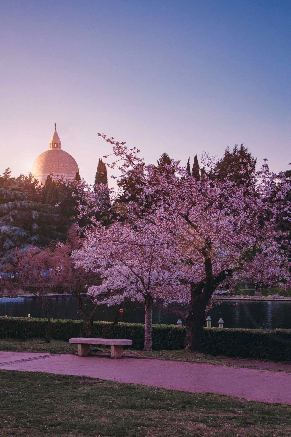 HANAMI A ROMA